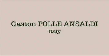 #17 Gaston POLLE ANSALDI, 1st Round<br />Tuesday, September 16th, 9:30-10:00 p. m.